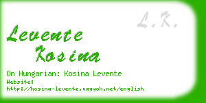 levente kosina business card